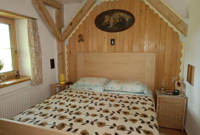 Casa noua cu 6500mp teren si anexe la Hudum - 8
