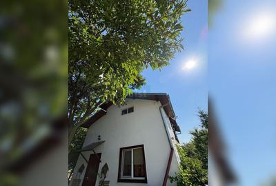 Casa/Vilă Gageni Structura Lemn - 4