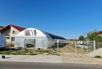 Teren Construcții intravilan de 3200 mp, în Buturugeni