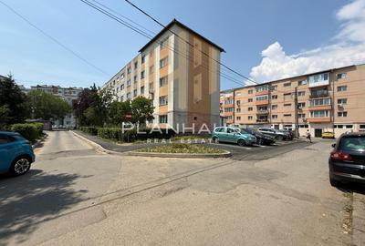 Apartament 2 camere,zona B-dul Traian Pizza Plus/Petru Rares - 12