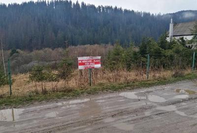 Teren intravilan Gheorgheni (str. Szarvas, zona km 4) - 1