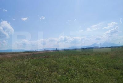 Teren Construcții intravilan de 50000 mp, în Prejmer