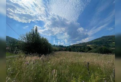 Teren cu potențial turistic, cadru natural rar, 20.000 mp  Sacuieu - 8