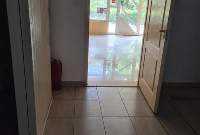 INCHIRIERE-SPATIU COMERCIAL-NICOLINA - 3