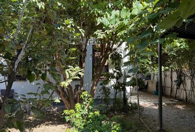 Inchiriere casa individuala 4 camere 91mp curte 300mp constructie 2016 Cotroceni - 15