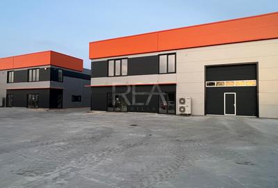 Hub Logistic Chiajna - Inchiriere Hala 482 mp - 4