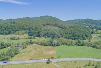 Teren de 4.000 mp cu deschidere la DN73A – Cheile Rasnoavei - 7