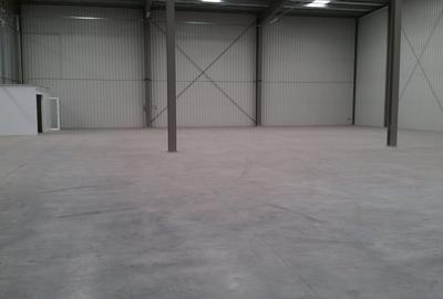 Inchiriez HALA depozitare noua, 1000 mp, h 7 m, la DN65B. - 7