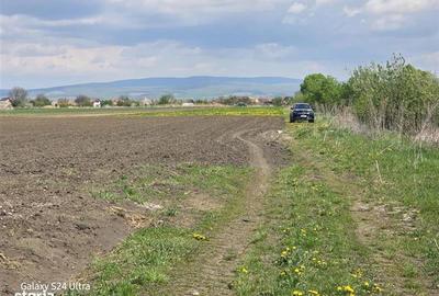 Oportunitate de investiție cu Exclusivitate! BOD, teren agricol! - 9