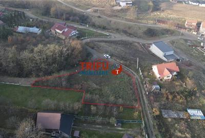 Teren Construcții intravilan de 954 mp, în Ampoi 1