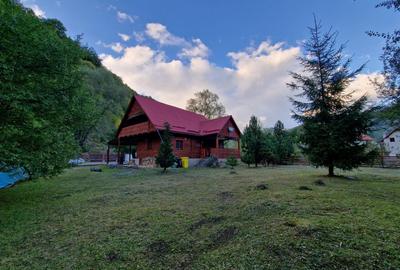 CABANĂ DE VÂNZARE ÎN ROMULI, BISTRIȚA-NĂSĂUD - 2