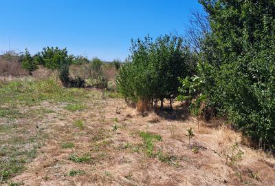 Teren in Lazu de 400 mp. - 5