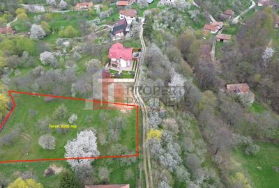 TEREN PREMIUM ÎN BRAN – SOHODOL | 3000 MP CU PANORAMĂ EXCEPȚIONALĂ - 2