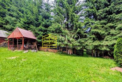 Cabană – Mureș – Sălard – Zona Pensiunea Denisa - 16