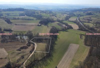 Teren superb de vânzare în Dumbrăvița – 3.750 mp - 7