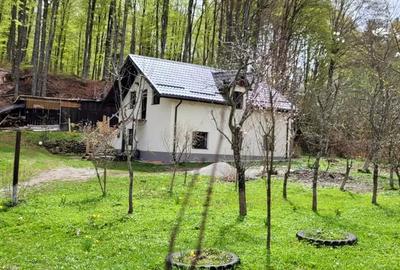 Cabana 4 camere zona Valea Avrigului - 1