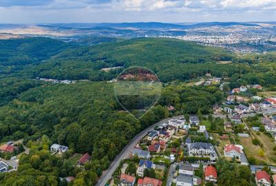 Teren agricol intravilan de 10000 mp, în Făget