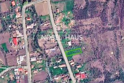 Teren intravilan. 1300 mp, loc Bogdanesti, jud Vaslui - 6