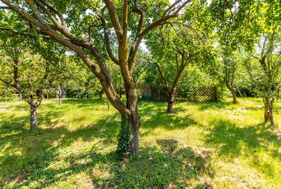 Casă/Vila tip conac, cu anexe si livada de vânzare Valenii de Munte - 28