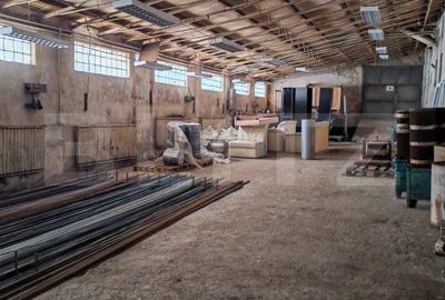 Spațiu industrial, de 800.00 mp, în Turcheș