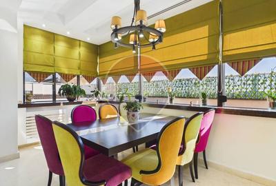 Penthouse duplex 7 camere | 711 mp suprafata totala | terasa 341 mp - 8