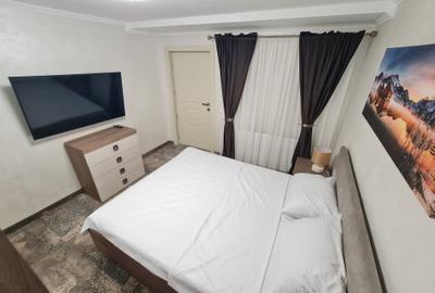Apartament Modern cu 2 camere in Vila - Curte - Centrala pe Gaz - Termen lung - 10
