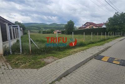 Teren Construcții intravilan de 9413 mp, în Micești