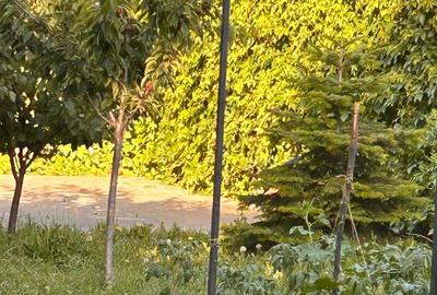 EXCLUSIV - OCAZIE ! EFORIE SUD VILA D+P+1E+M SC=607 MP. TEREN=500 MP. - 23