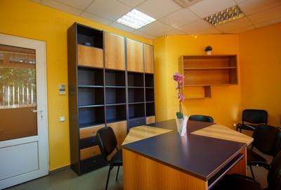 Casa de Inchiriat P+1, ideal firma/birouri - 9