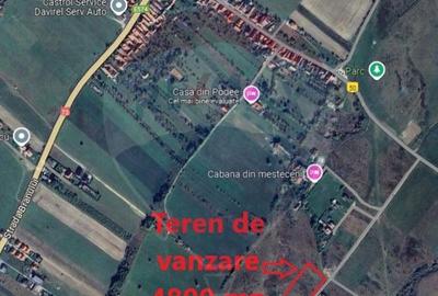 Teren Bran - Sohodol intrare 1050-4800mp - 18