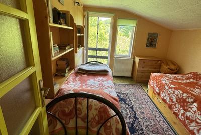 Lunca Gârtii – 10 km de Rucar. Casă+Teren 3500 mp - 6