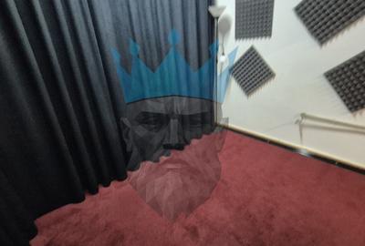 Spatiu Comercial Viilor - 13