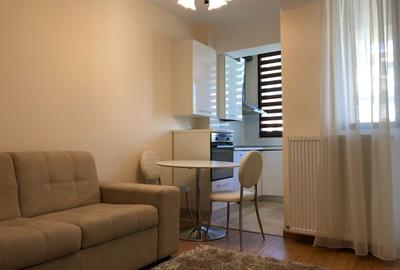 Apartament de inchiriat 1 camere zona Copou-Stadion Emil Alexandrescu - 4
