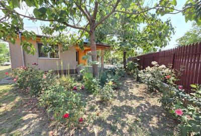 Casă cu 4 camere | Suraia | Grădină generoasă - 7