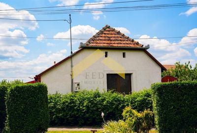 Casa la sol Sannicolau Mic de vanzare - 13