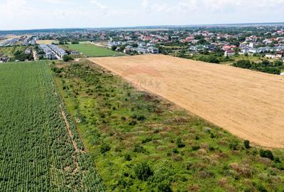 Vanzare teren intravilan 8,600mp Dragomiresti-Vale - langa A0 si A1 - 14