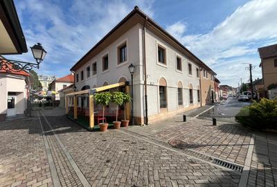 Casă individuală cu 10 camere în Ultracentral