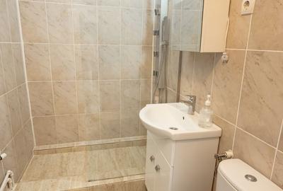 Apartament 2 camere mobilat si utilat de inchiriat in zona Centru - 9