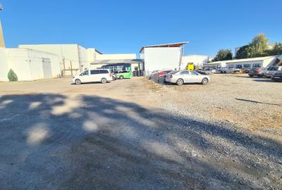 Hale in Campina--5069 mp--4e+tva - 8