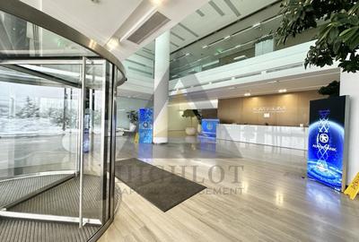 SHOWROOM  588.35 MP  | CLADIRE BIROURI BANEASA  | DISPONIBIL IMEDIAT - 14