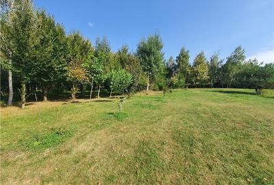 Teren intravilan - ultimul lot de 698mp in Sacel - zona lacuri - 6