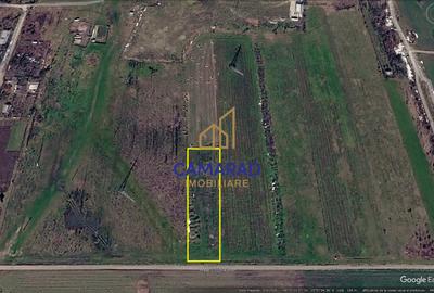 TEREN INTRAVILAN 3.870 MP – BUFTEA | ZONA TAMASI | FRONT STRADAL 32 ML - 5