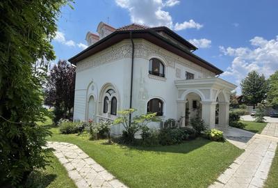 Domeniu vila Balotesti 4000 mp teren 60 m deschidere lac - 5