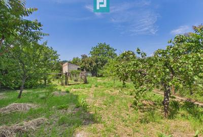 Casă individuală zonă centrală - teren 940 mp - 26