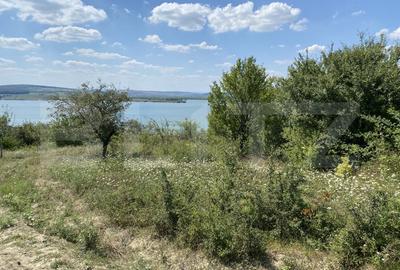 Teren agricol extravilan de 3800 mp, în Recea