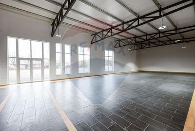 Spațiu Comercial de închiriat,  450 mp utili - Aleșd - 11