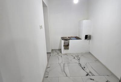 Tormac -casa parter- renovata -800 mp - 6