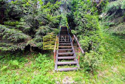Cabană – Mureș – Sălard – Zona Pensiunea Denisa - 19