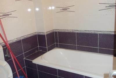 PIATA SUDULUI ,APARTAMENT INCHIRIERE PET FRIENDLY - 9