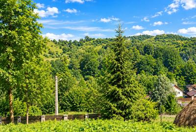 Teren Breaza 7000Mp intravilan - Valea Tarsei - 4